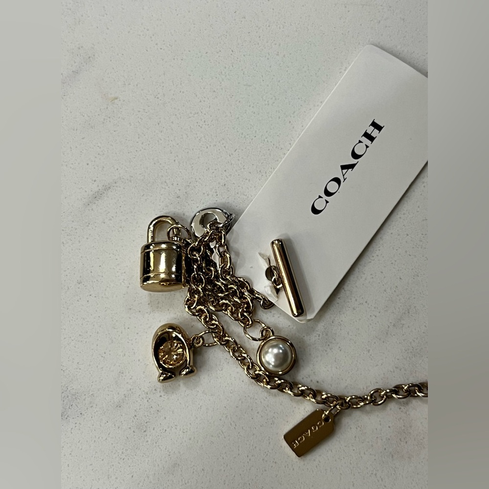 Elegant Gold and Silver Charm Bracelet - Picture 7 of 8